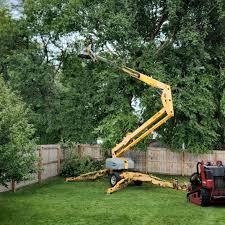 Trusted Tarrytown, NY Tree Removal Experts